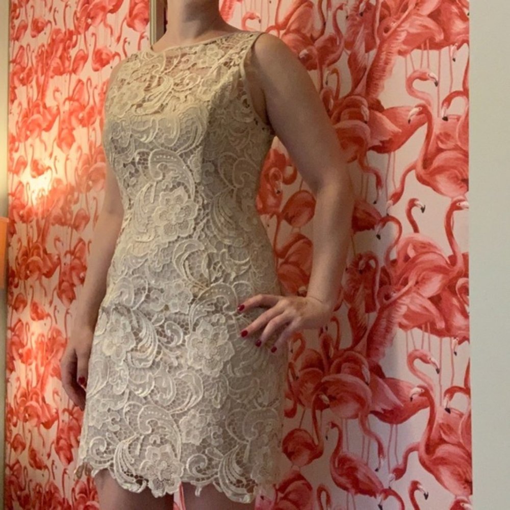 Cache Beige Lace Sheath Party Dress Size 10
